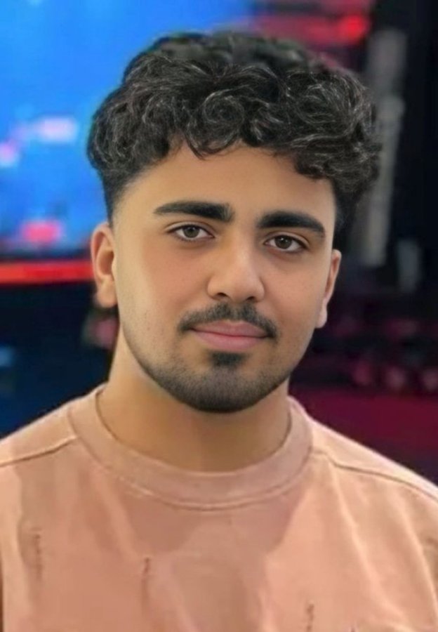 Mohammad Erfan Faraji