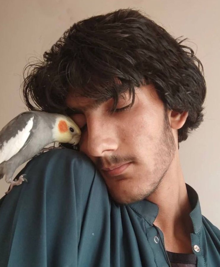 Mohsen Arbabi