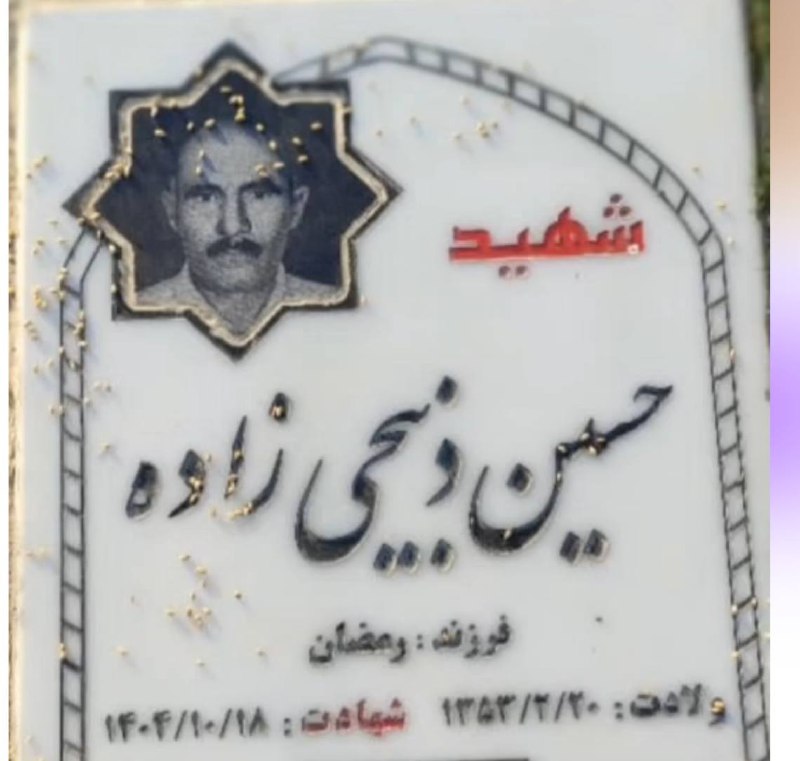 Hossein Zabihizadeh