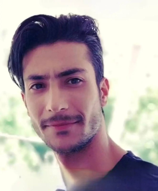 Seyed Javad Tabatabaei
