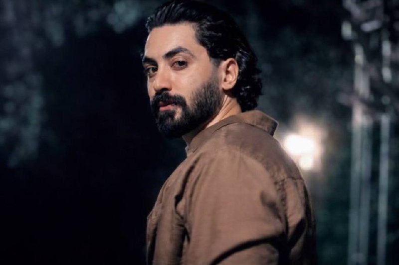 Amirhossein Malekshahi Sedaei